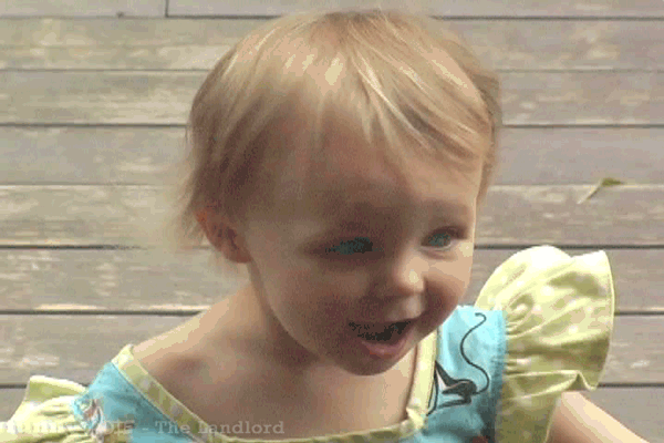 GIF the landlord baby funny or die - animated GIF on GIFER