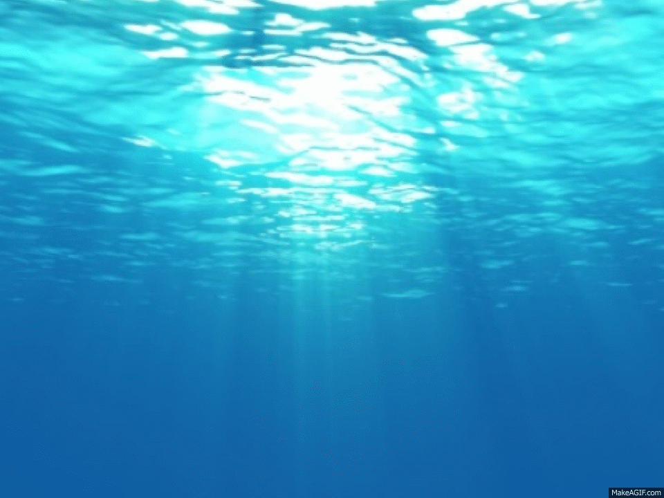 Underwater GIF - Find on GIFER