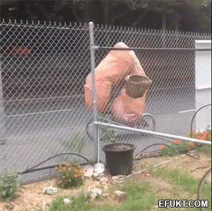 7JeB.gif
