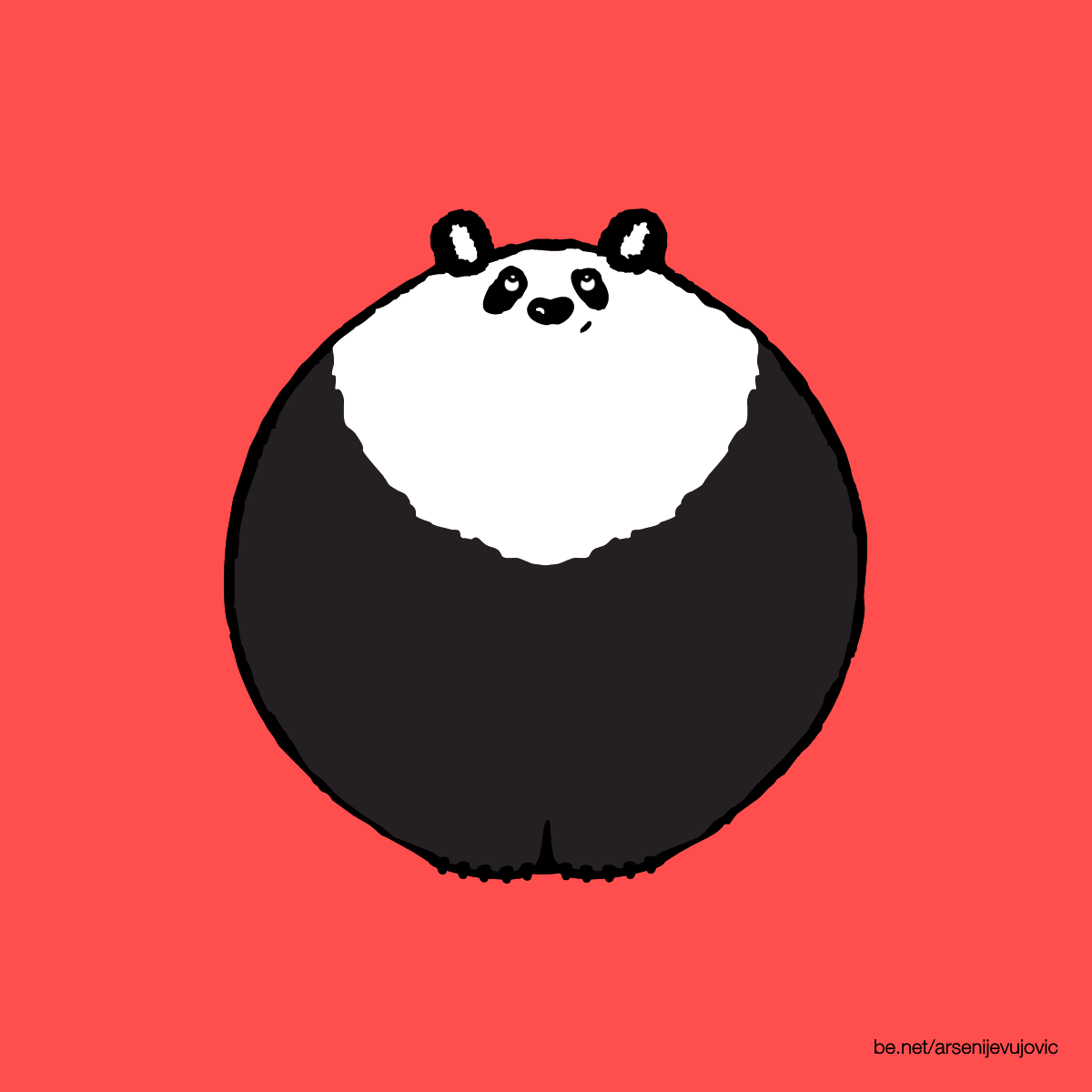 GIF panda characterdesign animation - animated GIF on GIFER