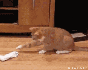 7KI9.gif