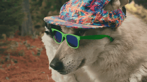 7KJv.gif