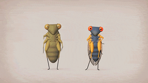 Ted education cicadae cicadas GIF - Find on GIFER