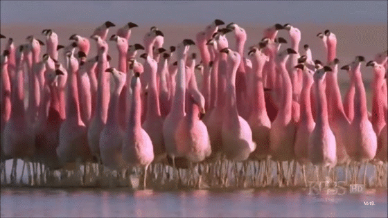 Do your homework gifs 06 image