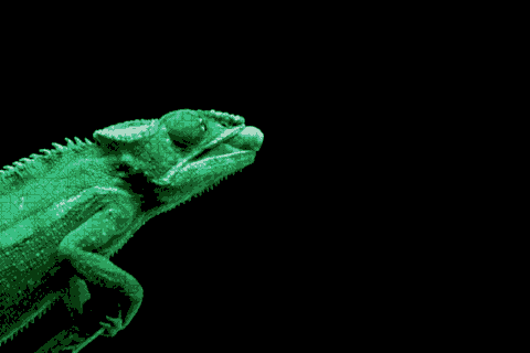 GIF chameleon - animated GIF on GIFER