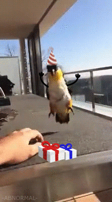 Weee gif #1