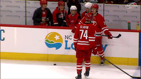 GIF hockey nhl carolina animated GIF on GIFER