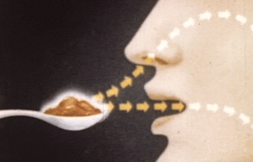 Smell senses taste GIF - Find on GIFER