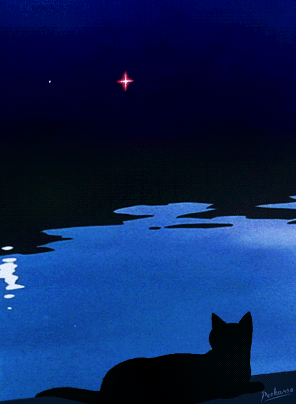 Кот ночью. Кот и звездное небо. Ночное небо анимация. "Лунный кот". Киса ночью