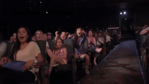 Excited glitter fans GIF Find on GIFER