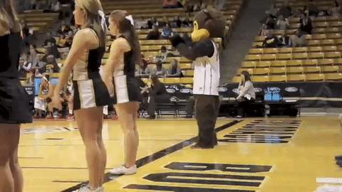 College Cheer Gif