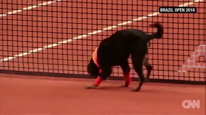 https://i.gifer.com/7Q0Q.gif