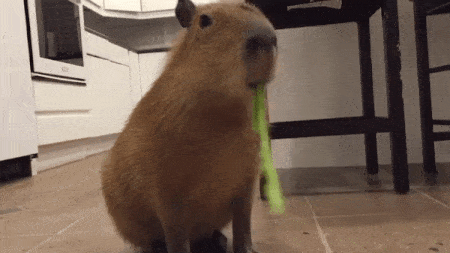 7QcG.gif