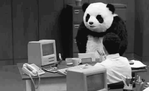 workplace panda gif on gifer by dalaril