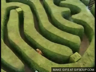 Maze GIF - Find on GIFER