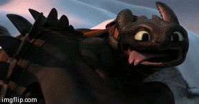Toothless GIF - Find on GIFER