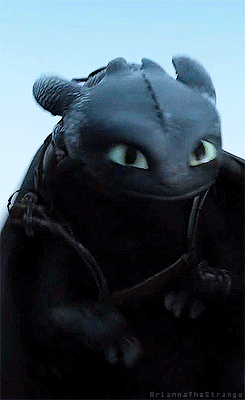 Toothless GIF - Find on GIFER