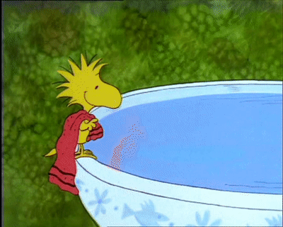 Woodstock Gifs Get The Best Gif On Gifer