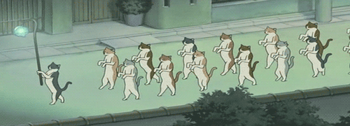 following the leader gif