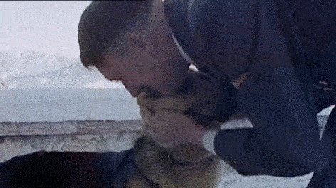 7fjR.gif