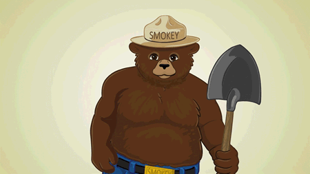 На этой гифке: smokey bear nonprofit - скачайте гиф картинку social good, l...