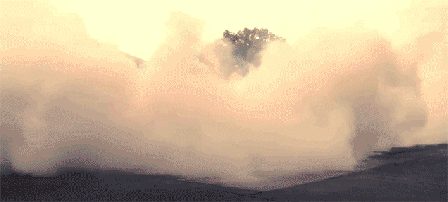 Burnouts GIFs - Get the best gif on GIFER