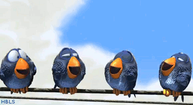 Animated Gif Funny Pixar Birds Share Or Download Shorts Hbls Animated Gif Funny Pixar Birds Share Or Download Shorts Hbls