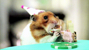 Killhamster Cake Festa Gif On Gifer By Griwyn