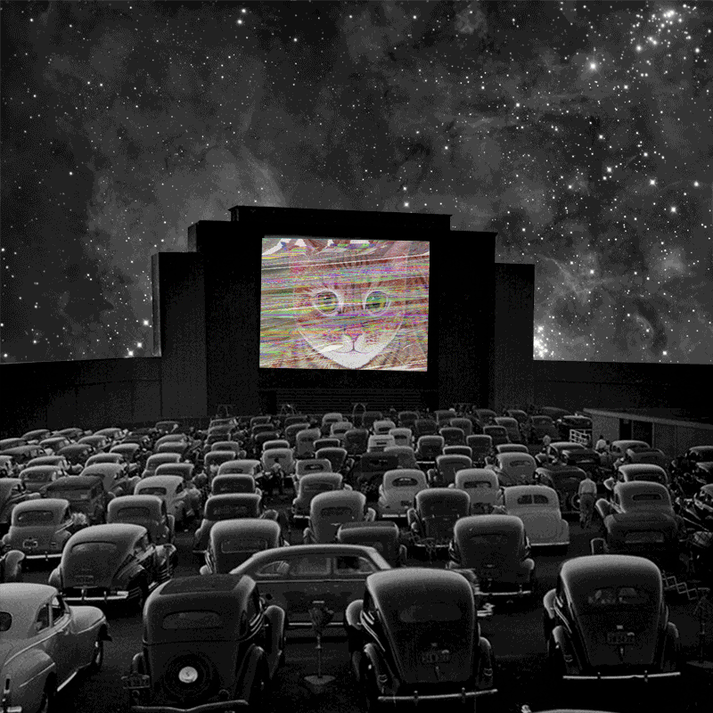 Bad girls club wake up rude GIF Find on GIFER