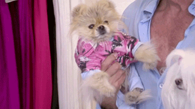 Giggy real housewives rhobh GIF - Find on GIFER