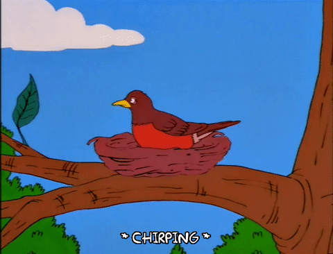 Episode 3 season 10 bird GIF - Find on GIFER