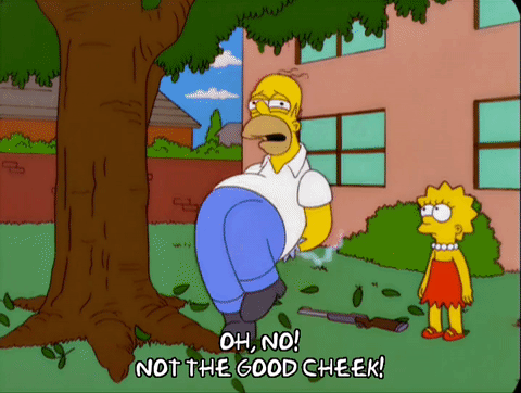 13x Homer Simpson Season 13 Gif Find On Gifer