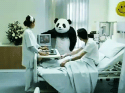 GIF angry panda commercial - animated GIF on GIFER - by Rainwood
