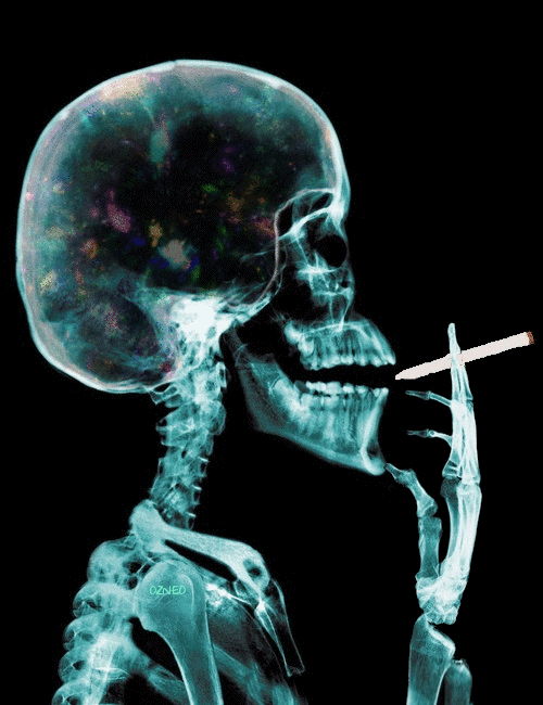 skull smoking blunt