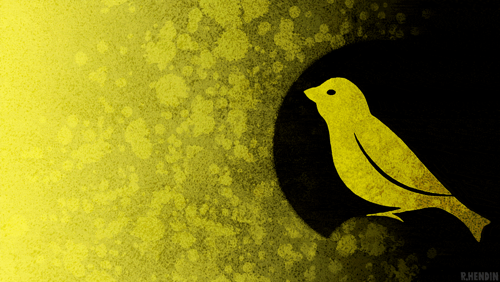 Canary animation. Канарейка анимация. Канарейка логотип. Логотип птицы канарейка. Канарейка Графика