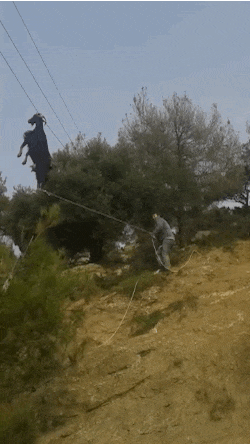 Гифка люди спрашивает гиф картинка, скачать анимированный gif на GIFER