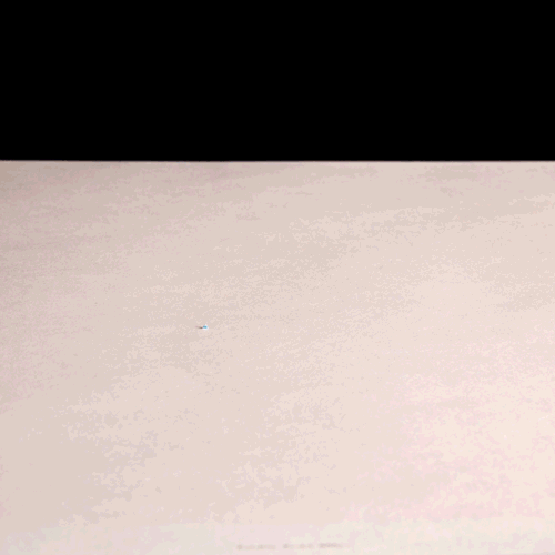 Inmoralidad aliviar electrodo proyector gif Interprete mensaje coger un resfriado