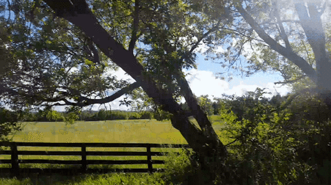 Gif Trip Countryside Loop Animated Gif On Gifer