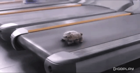 Гифка огонь горит дыра гиф картинка, скачать gif на GIFER