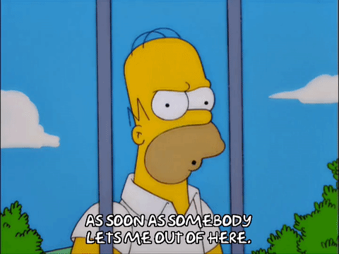 Get gif. Simpsons help help.