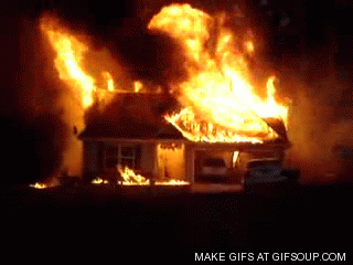 Centipede house attack GIF - Find on GIFER