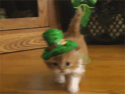 88CU.gif