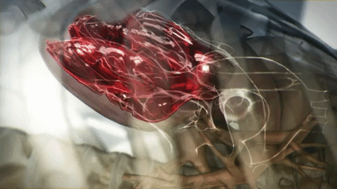 Allmymovies First Aid Sangre Gif Find On Gifer Allmymovies First Aid Sangre Gif Find On Gifer