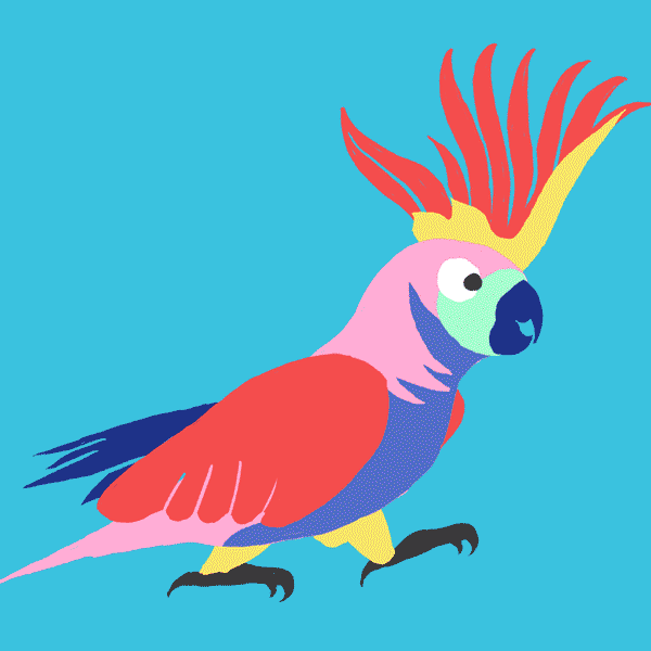 Animation birds. Анимированный попугай. Разноцветный попугай. Попугай гифка. Гифки с попугаями.