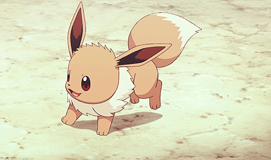 Eevee student of the year GIF - Find on GIFER
