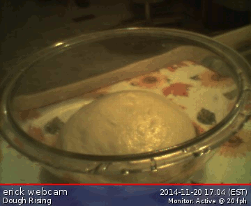 Bread GIF - Find on GIFER