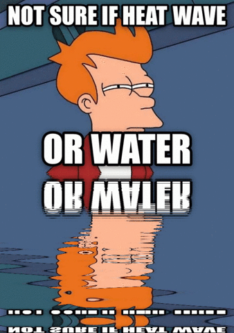 gif mirage advice animals