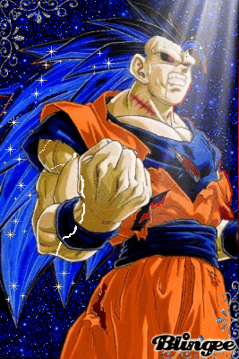 goku dimensions