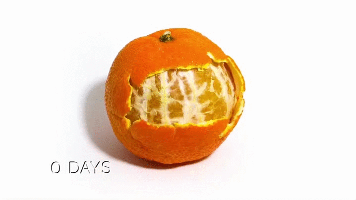Книга елены поповой апельсинки для бывшего. Мандарин. Анимированный мандарин. Анимированный апельсин. Апельсин анимация.