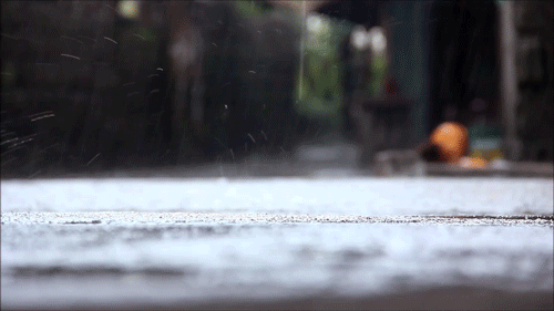 Philippines monsoon GIF - Find on GIFER Philippines monsoon GIF - Find on GIFER